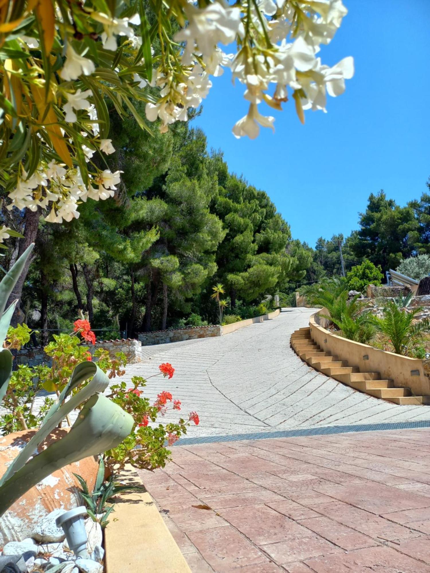 העיירה סקיאתוס Core Luxury Suites (Adults Only) מראה חיצוני תמונה